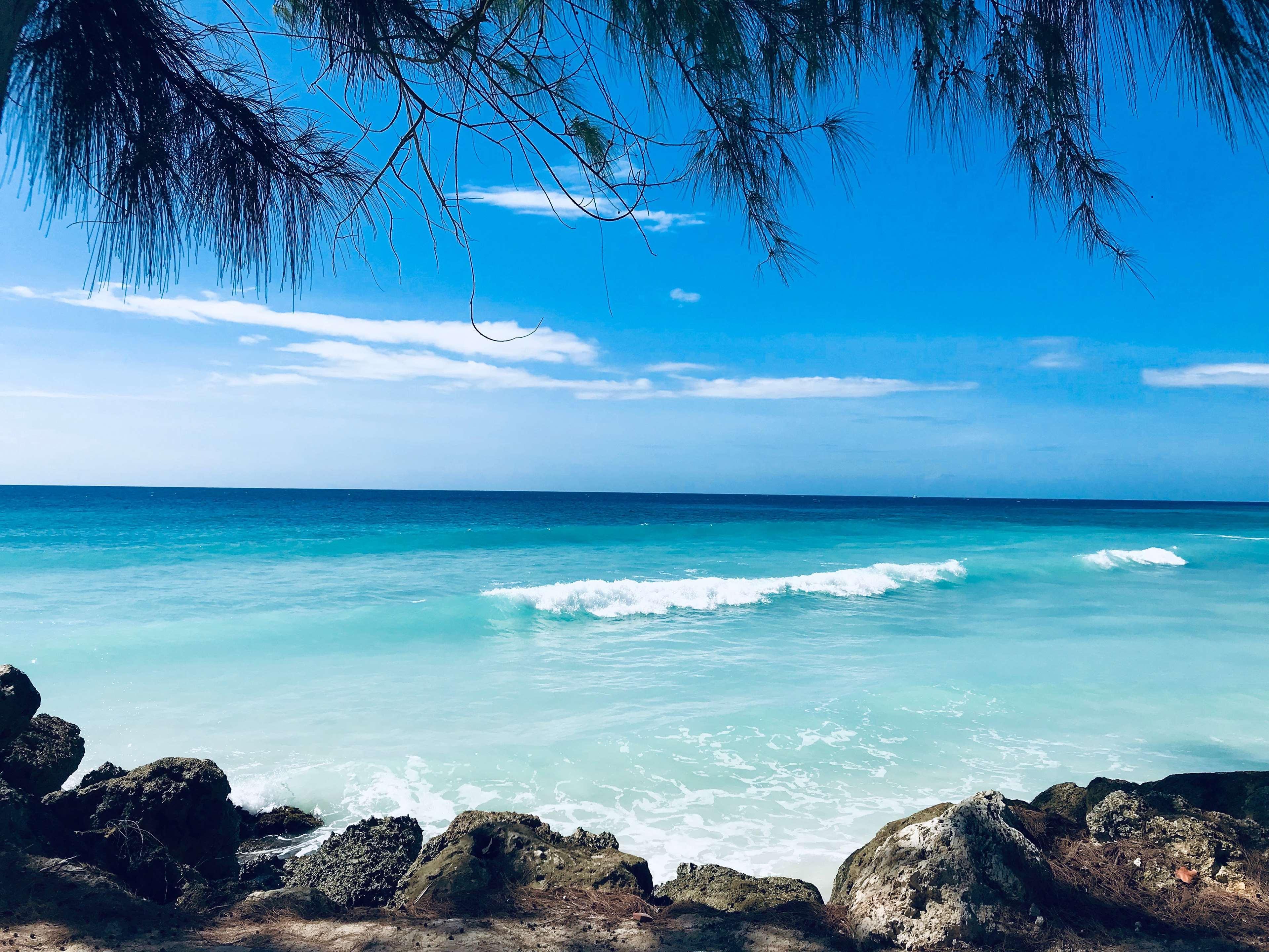 Divi Southwinds Beach Resort Christ Church Eksteriør bilde