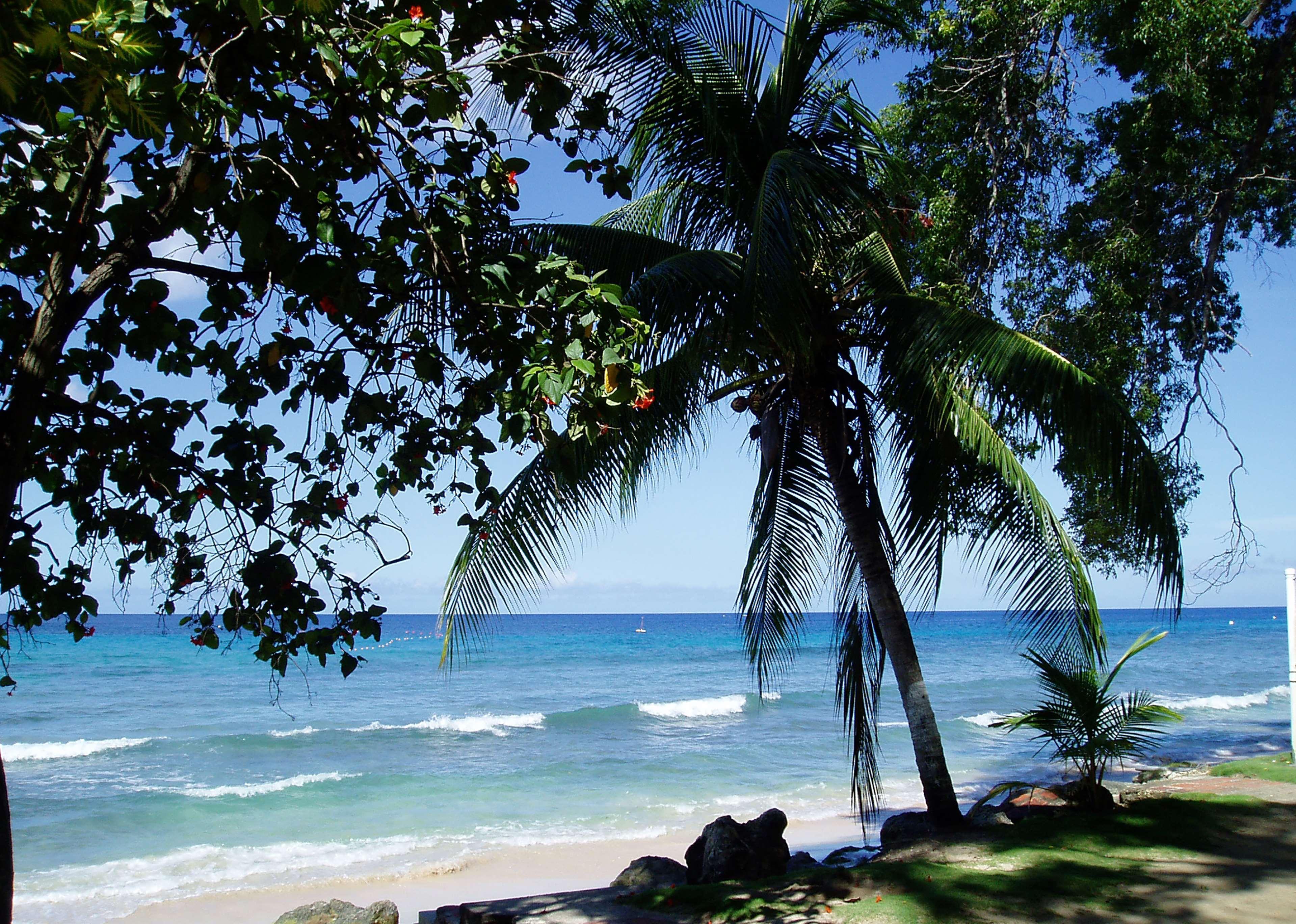 Divi Southwinds Beach Resort Christ Church Eksteriør bilde